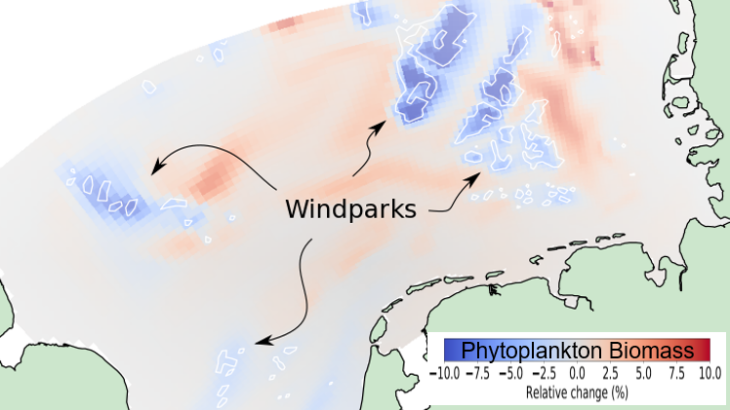 Simulierte Veränderungen der Phytoplanktonbiomasse, die durch die epistrukturelle Filtration durch die Miesmuschel Mytilus edulis auf neu geschaffenen Lebensräumen auf Offshore-Windparkpfählen zu erwarten sind. (Grafik: Carsten Lemmen/ Hereon) Veränderungen der Phytoplankton Biomasse nahe Windparks (Simulation)