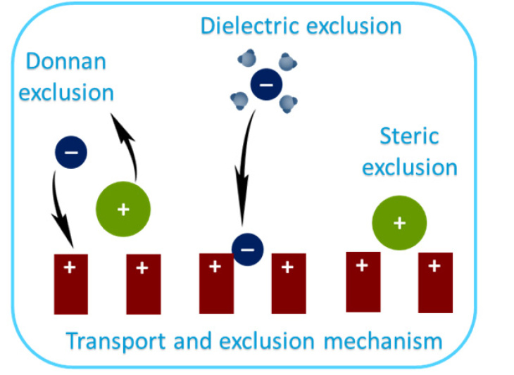 DSPM-DE Transport Modell