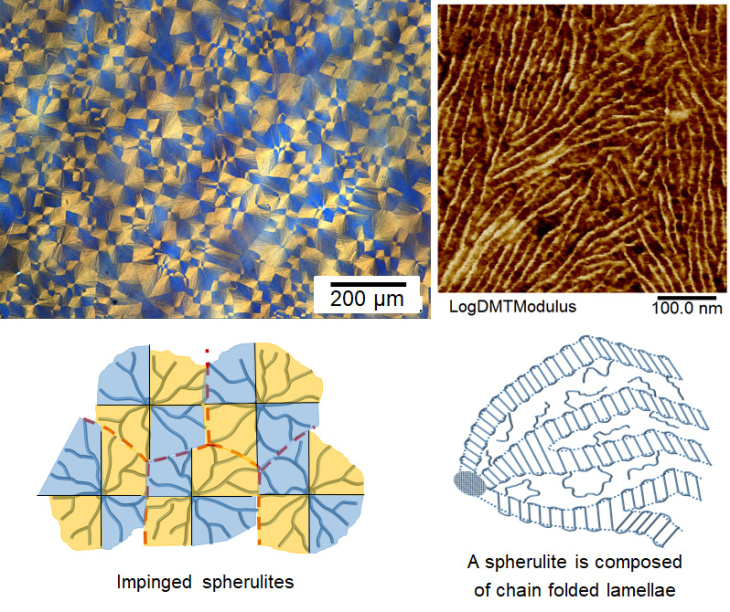 Morphology of semicrystalline polymer.jpg