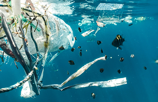 Plastikabfälle schwimmen im Wasser.