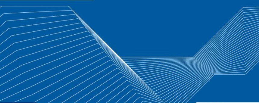 Helmholtz International Fellow Award