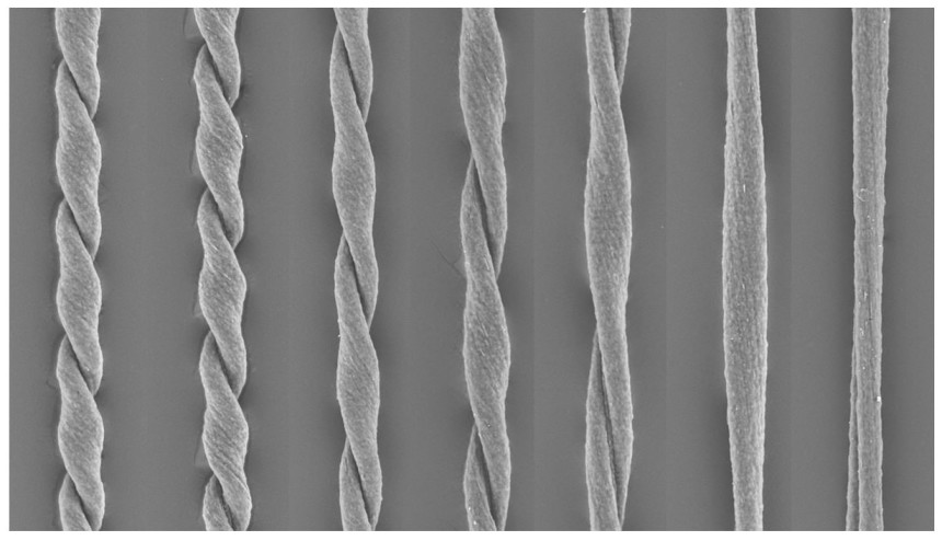 Lendlein Twisted Fibres 01