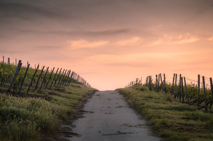 Weg zum Strand
