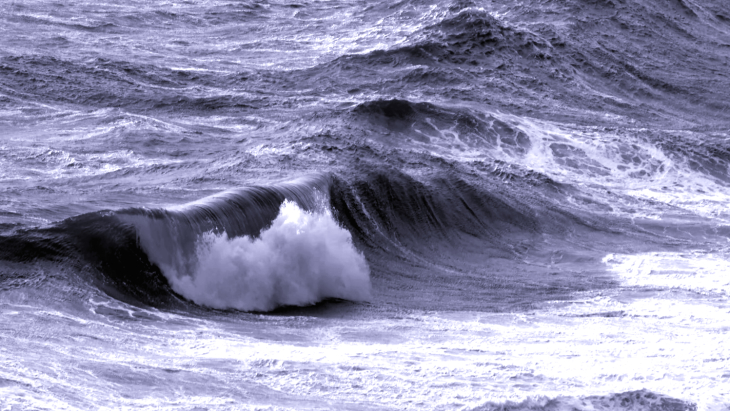 <i>-Bild: Marc Buckley/Hereon, Michael Stresser/Hereon-</i> Bild: Marc Buckley/Hereon