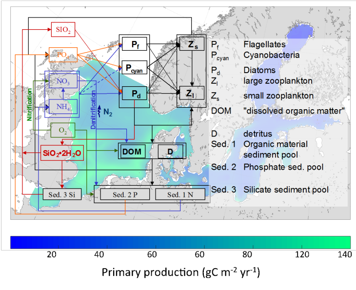 (Graphik: Ute Daewel/ Hereon) Ecosmo Model Graphic
