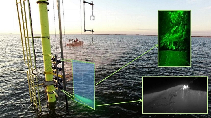 Details des PIV-Experiments. <i>-Bild: Marc Buckley, Jan Bödewadt/Hereon-</i> Details des PIV-Experiments. -Bild: Marc Buckley, Jan Bödewadt/Hereon-