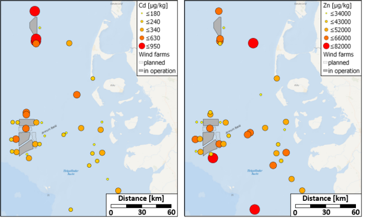 Erste Ergebnisse der Kartierung von Schwermetallkonzentrationen im Sediment der Umgebung von Windparks und Vergleichsgebieten in der Deutschen Bucht. (Grafik: Ulrike Kleeberg, Daniel Pröfrock / Hereon) Chemische Verschmutzung in Offshore Windparks