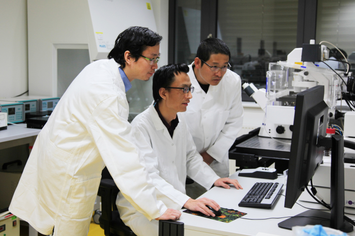 Die Erstautoren der Studie von links nach rechts: Xun Xu, Zijun Deng and Weiwei Wang (alle HZG). Foto: HZG/Fraeya Whiffin Xun Xu, Zijun Deng and Weiwei Wang (alle HZG) sind Erstautoren die Studie.